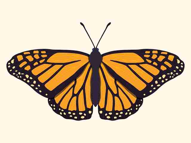 蘑菇影视在线观看#独家手记#勾勒#氛围感#全程高能，蘑菇影视app官网