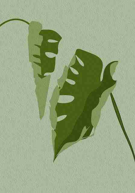 【成人抖音】原汁原味进化史解码 - 不容错过