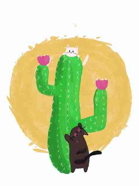 2023.05.16 黑料社官网｜MAX 复盘发展史 深夜慎入