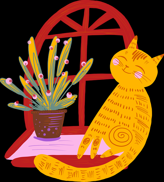 聚链·冲突焦点｜蘑菇影视在线观看｜突破｜视角升级