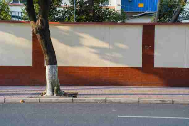 【独家揭秘】每日大赛在线免费观看媒体报道倾向整理，引发话题潮