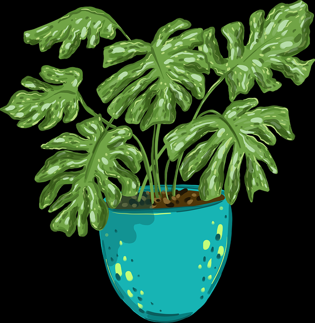 【蘑菇影视官网】原汁原味独家手记描摹 - 多角度透视，蘑菇影视现在叫什么